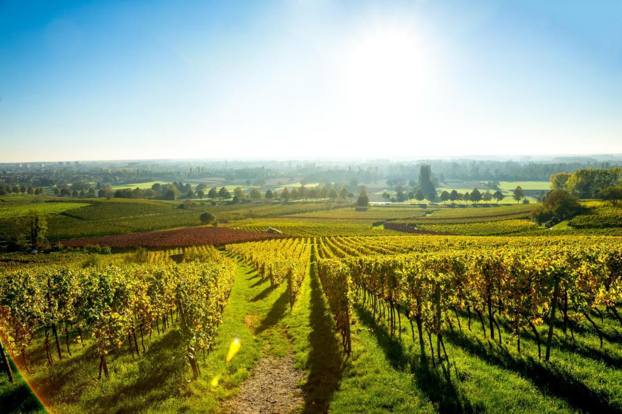 Clos Ceres Vire  Экстерьер фото